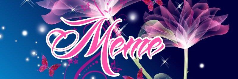 MemeSalta's profile banner image
