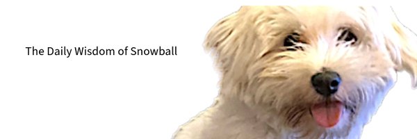 HaveeSnowball Profile Banner