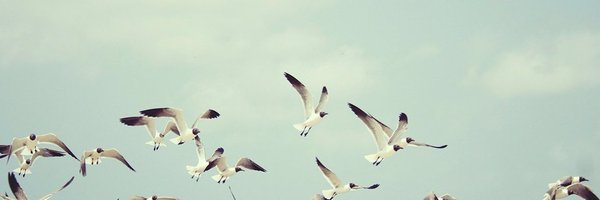 JirheeJ Profile Banner
