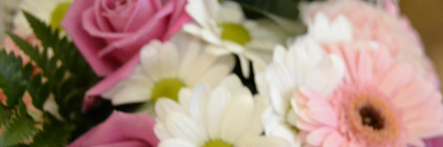 evareypr's profile banner image