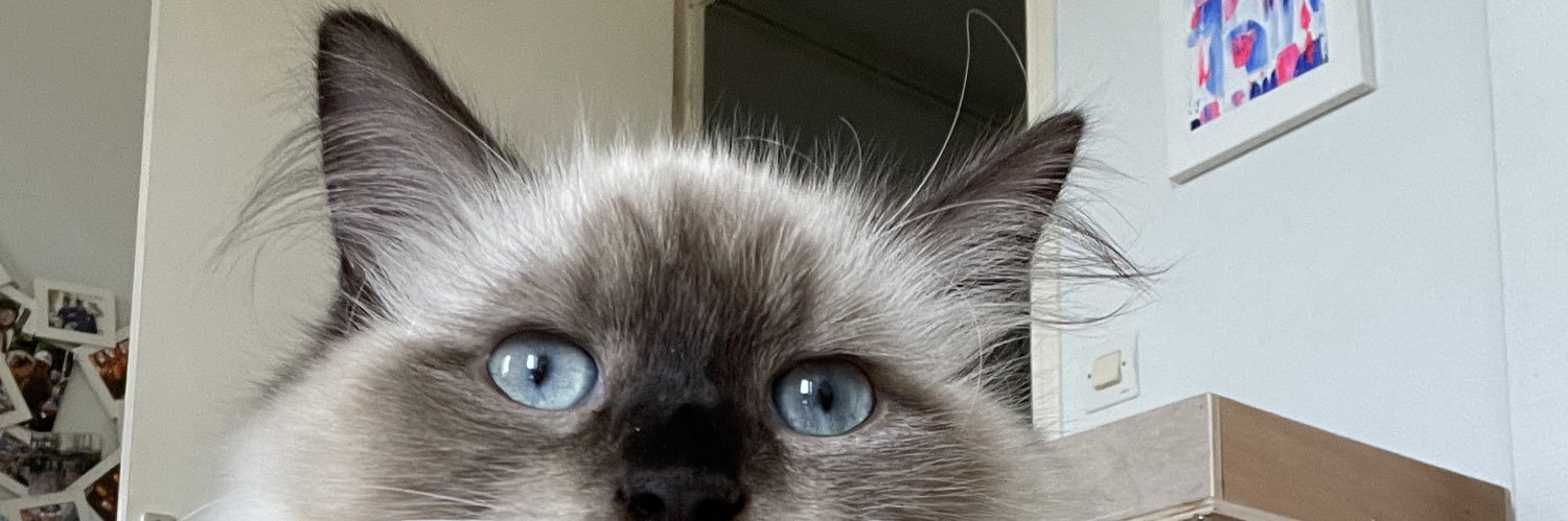 zackyZ57's profile banner image
