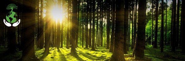 SEEFAssociation Profile Banner