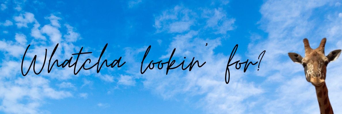 𓃱🎀 banner