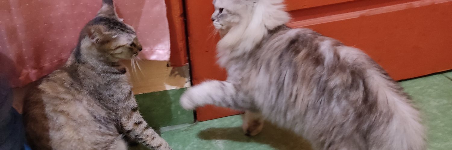 Christian Prabowo banner