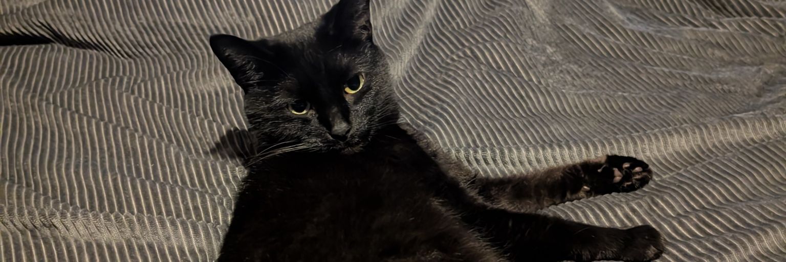 murkydyl's profile banner image