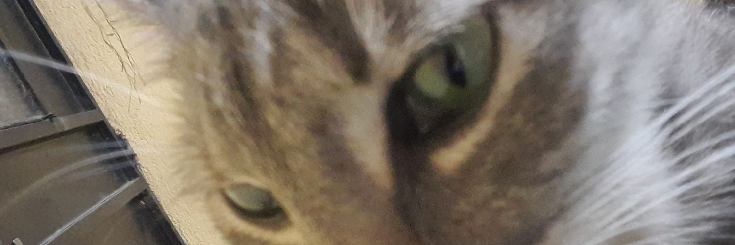 Ivette_Dourif's profile banner image