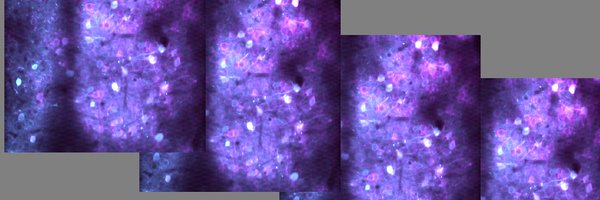 HistedLab Profile Banner