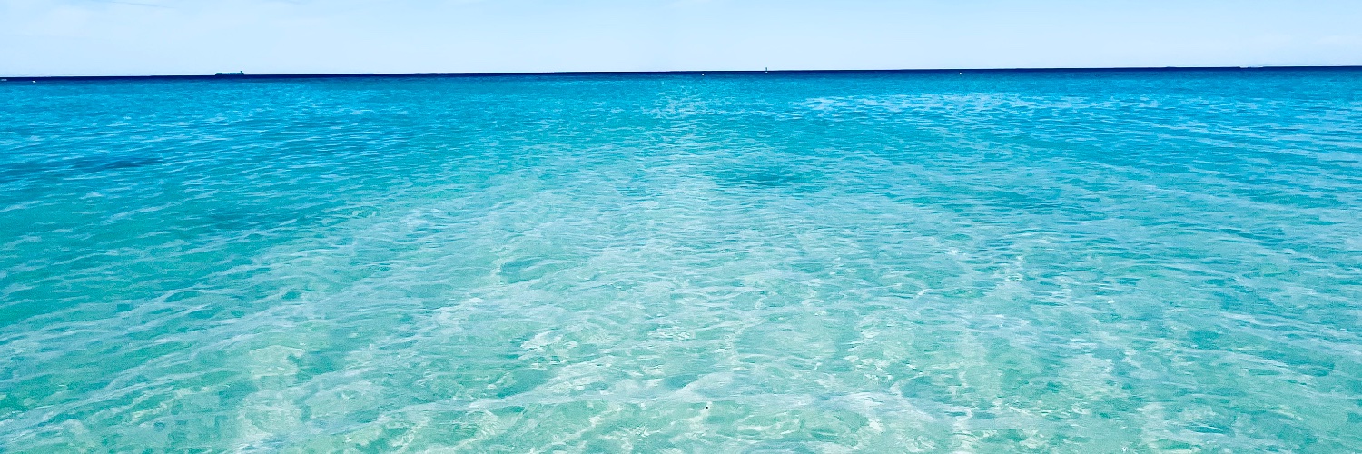 David Aldous 🌏 banner