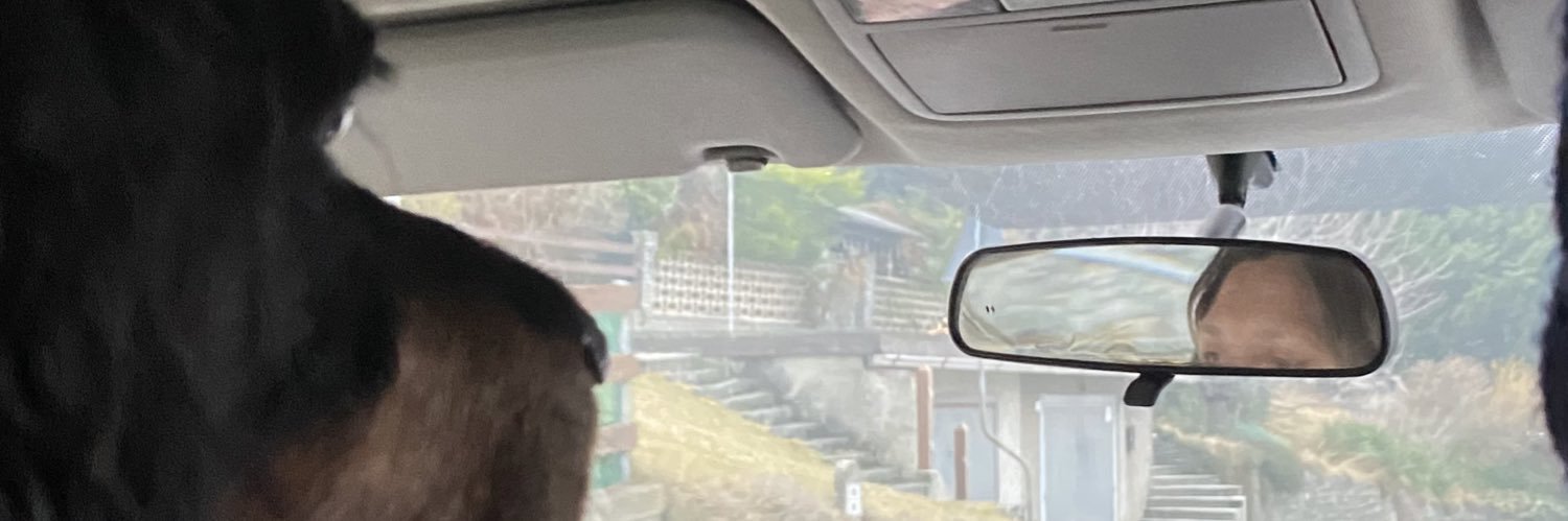 sminchiuz banner
