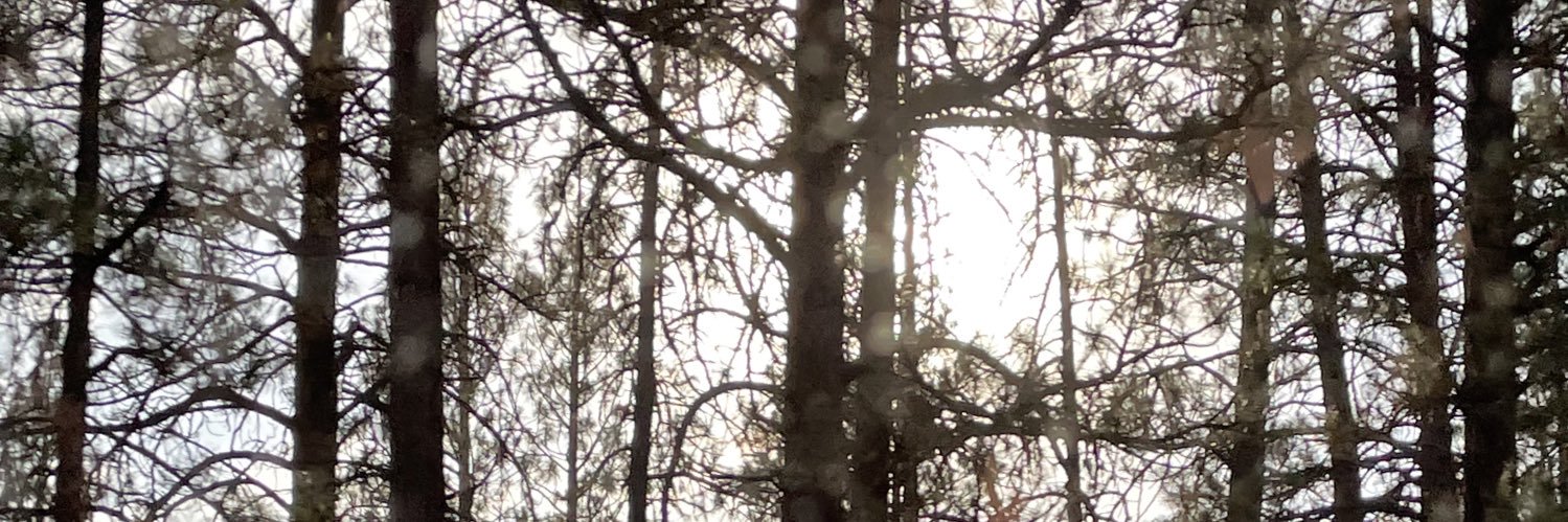 Otis Lunjiunè banner