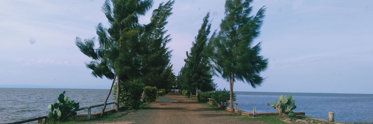 magungakings's profile banner image