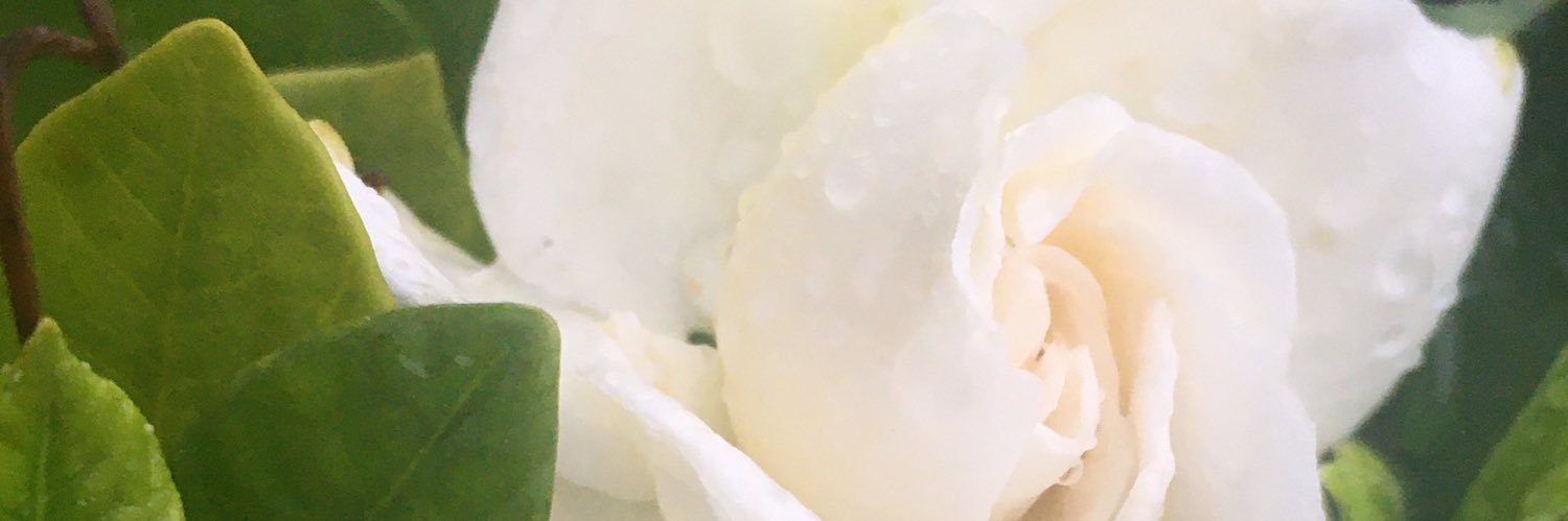 hnm0426's profile banner image