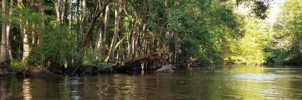 VSliker Profile Banner