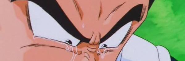 Capitaine de la 6eme Division banner