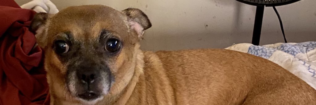DanielleF68's profile banner image