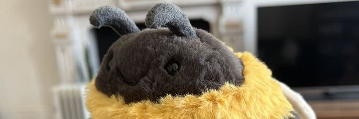 _Orchie's profile banner image