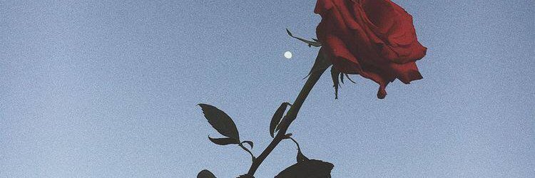 CobiDp's profile banner image