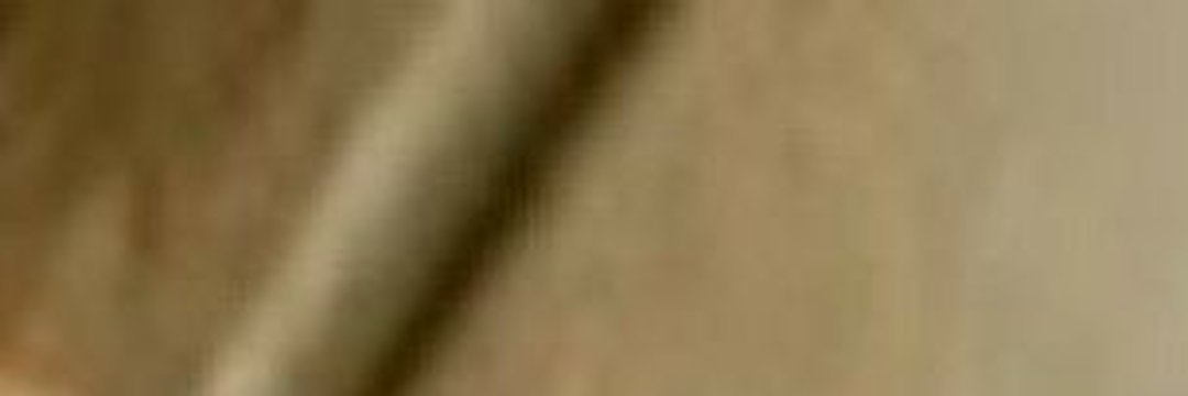 eeL banner