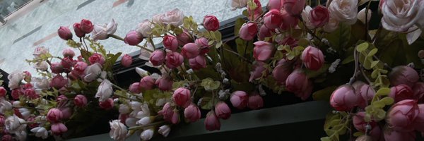Avnidahiyaa Profile Banner