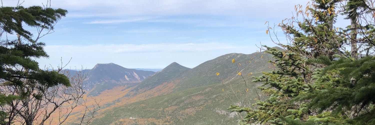 heatherg's profile banner image
