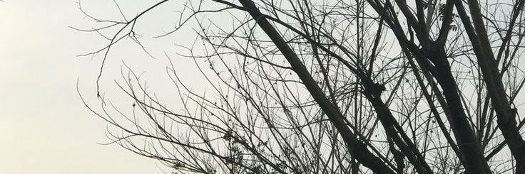 keorie banner