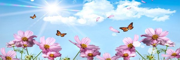 ves_samah Profile Banner