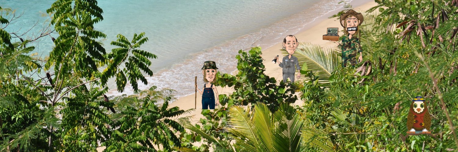 IslandGal banner