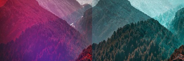 GavinWray Profile Banner