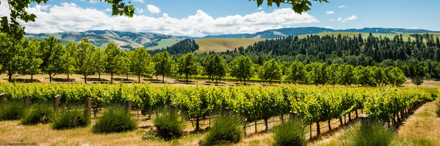 WWValleyWine's profile banner image