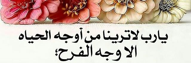Lady01875494's profile banner image