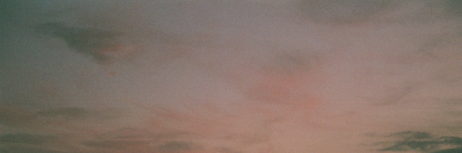 searchpartyanml's profile banner image