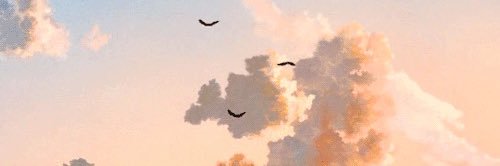 Mizramoon's profile banner image