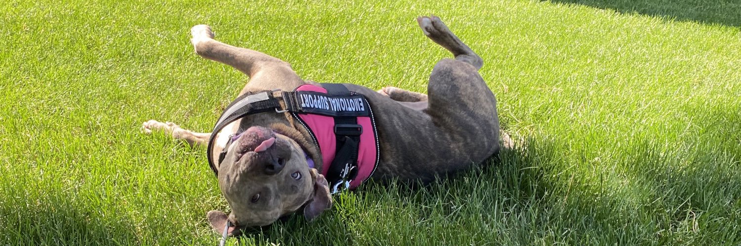 molly jean ( goodest gorl 🍉) banner