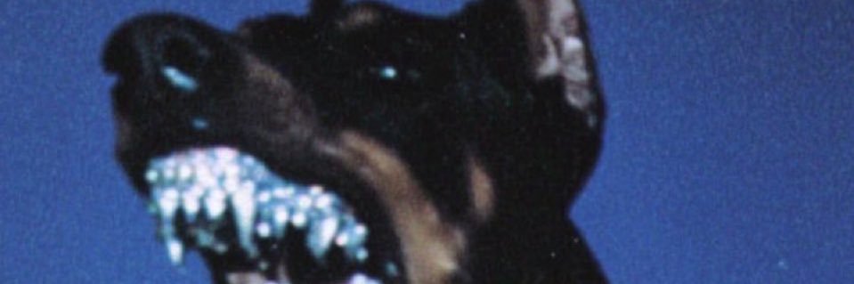 Moaikol Saylor 🗿 (SHRIMP FARM ARC)'s banner