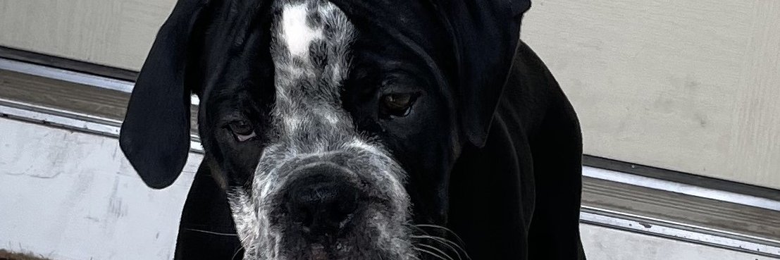 Ultra MAGA Keyser Soze 🇺🇸 🇬🇧 ✝️ banner