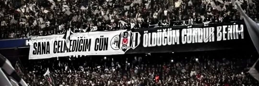 mortingenns's profile banner image