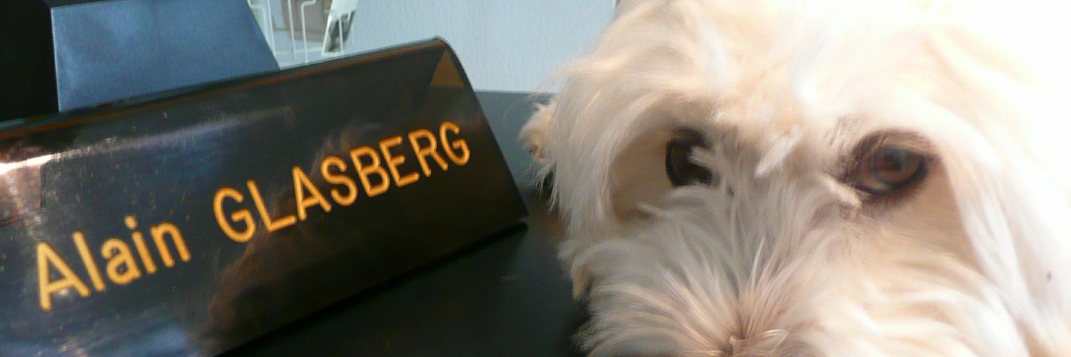 alainglasberg's profile banner image