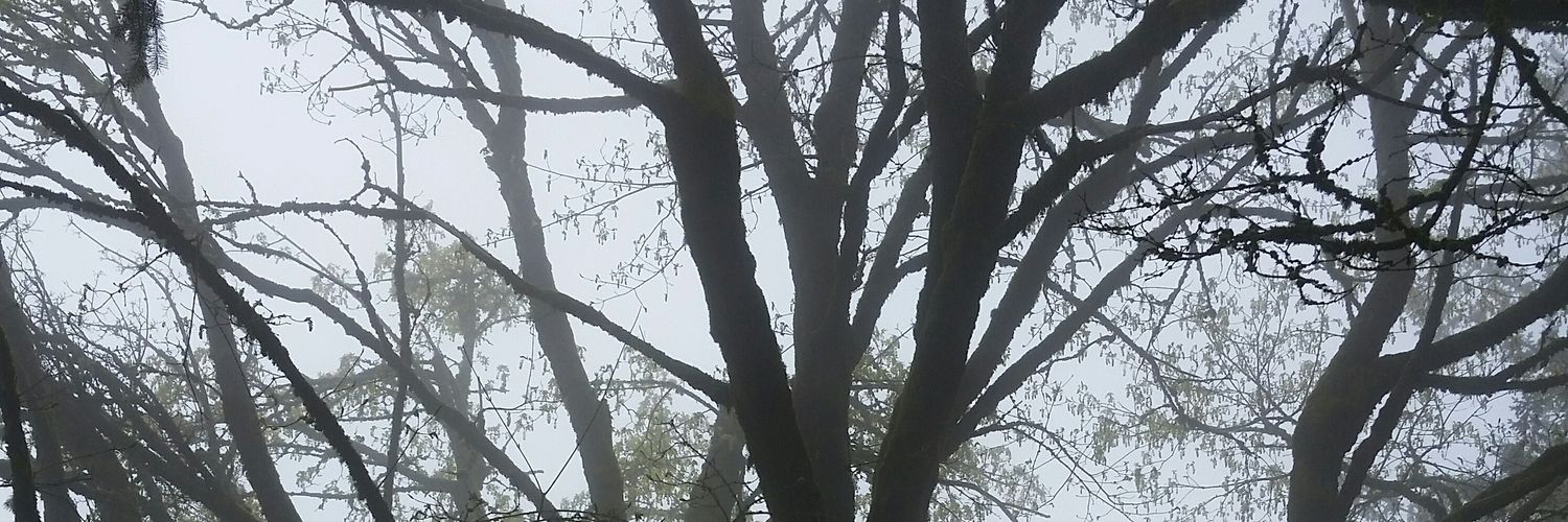 northsidefan23's profile banner image