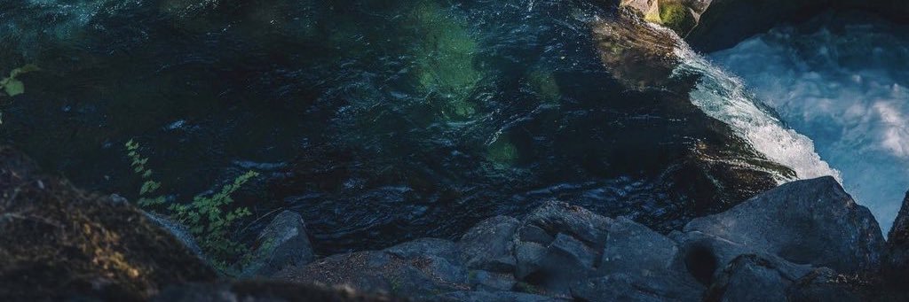 Sevvy 🦋✨ banner