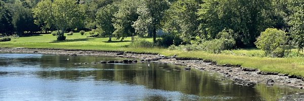 CostaChronicles Profile Banner