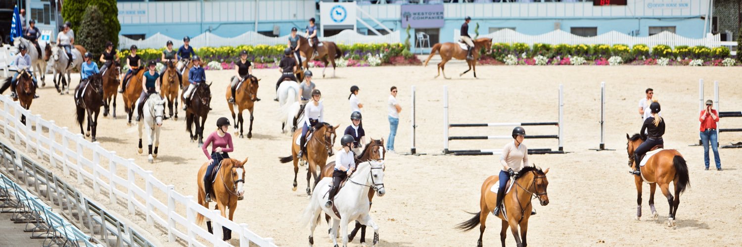 Devon Horse Show banner