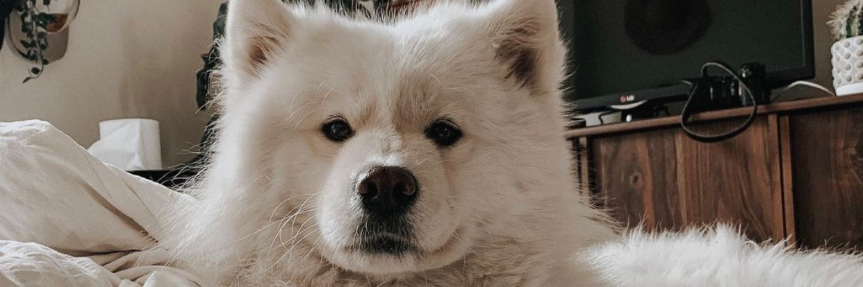 leaburbiz's profile banner image
