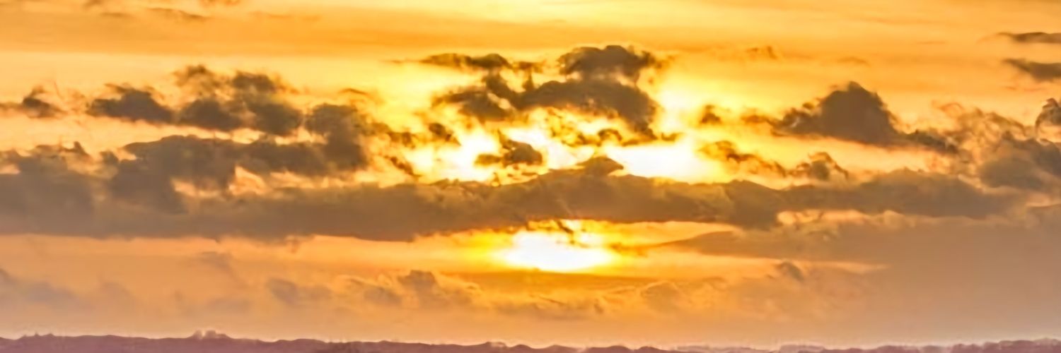 suzenorton's profile banner image