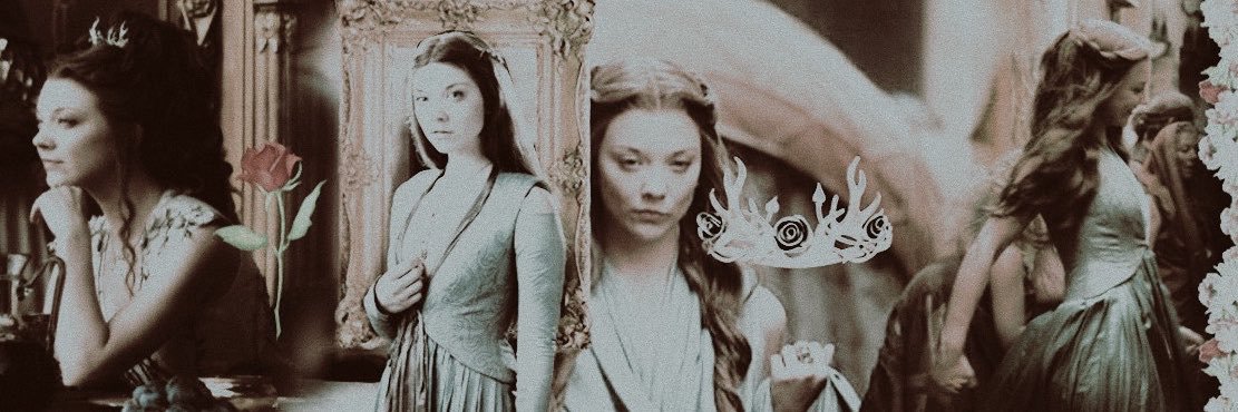 witfulrose's profile banner image