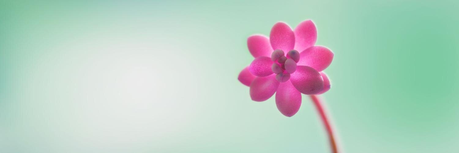 gokcebinar's profile banner image