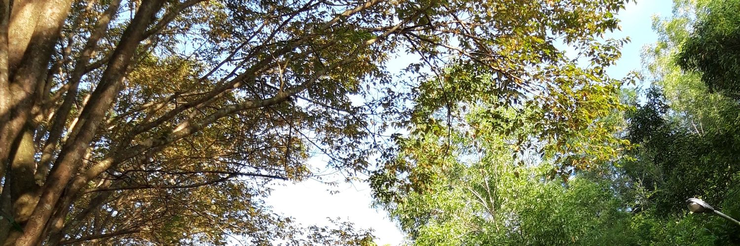 ditangrh's profile banner image