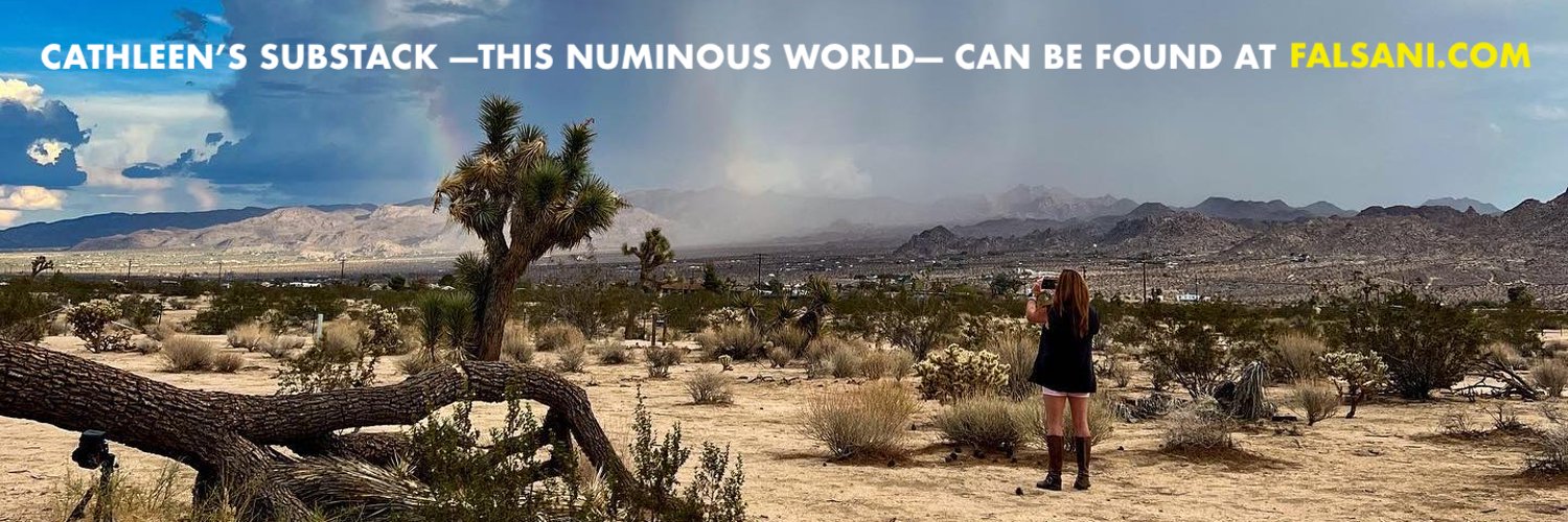 Cathleen Falsani, Emotional Support Angel 🌊 banner