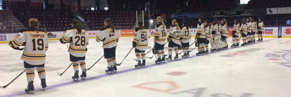 JrIceWolves Profile Banner