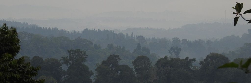 yogaogaa's profile banner image