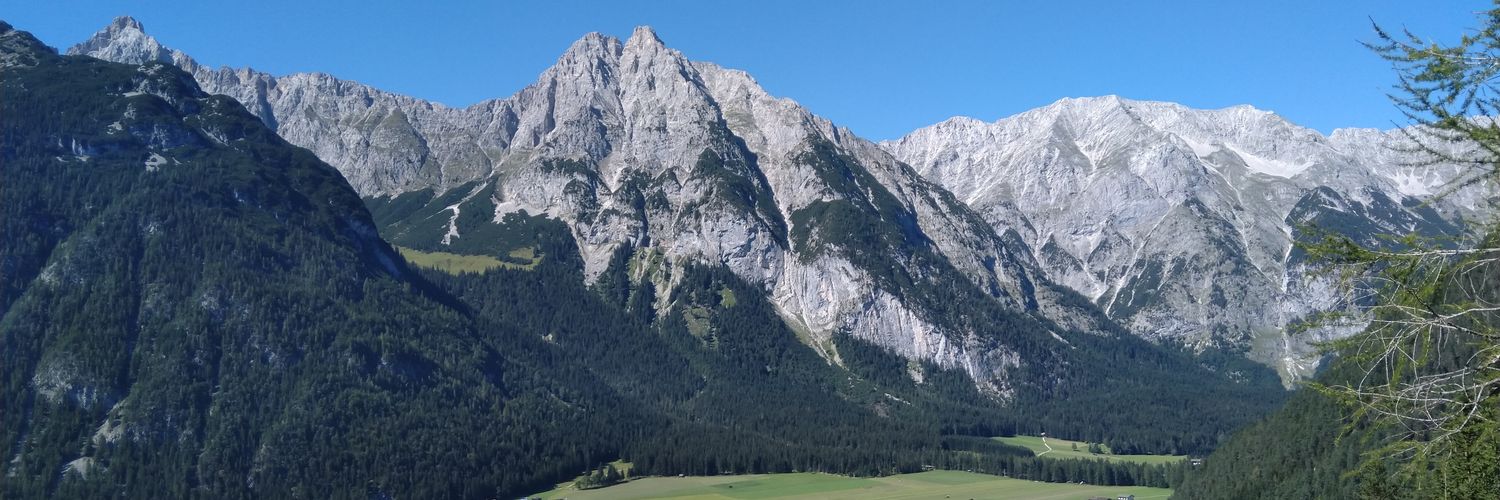 Daniel Weber 🇪🇺 banner